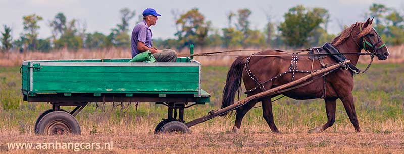 Oude kar met paard er voor ingespannen